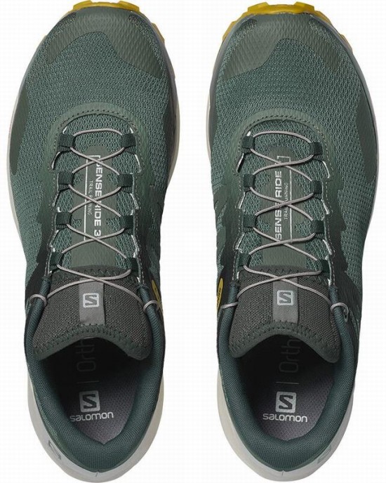 Salomon Sense Ride 3 Trail Running Shoes Olive Men