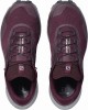 Salomon Sense Ride 3 W Running Shoes Burgundy/Coral Women