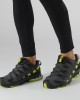 Salomon Xa Pro 3D V8 Gore-Tex Hiking Shoes Black/Light Green Men