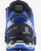 Salomon Xa Pro 3D V8 Gore-Tex Trail Running Shoes Blue Men