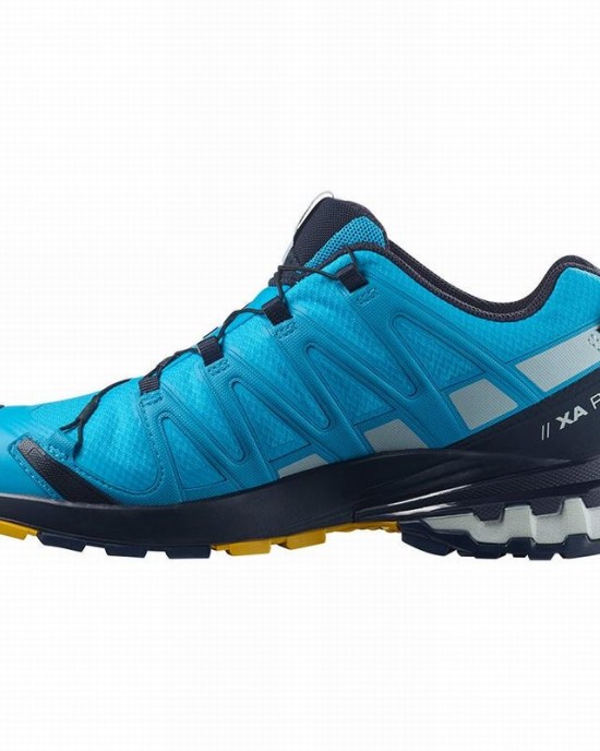 Salomon Xa Pro 3D V8 Gore-Tex Trail Running Shoes Blue Men