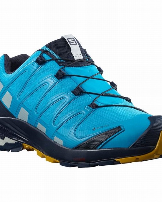 Salomon Xa Pro 3D V8 Gore-Tex Trail Running Shoes Blue Men