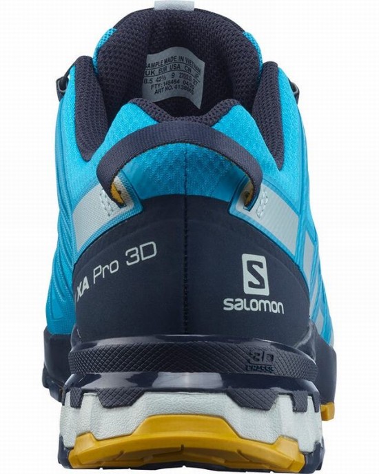 Salomon Xa Pro 3D V8 Gore-Tex Trail Running Shoes Blue Men