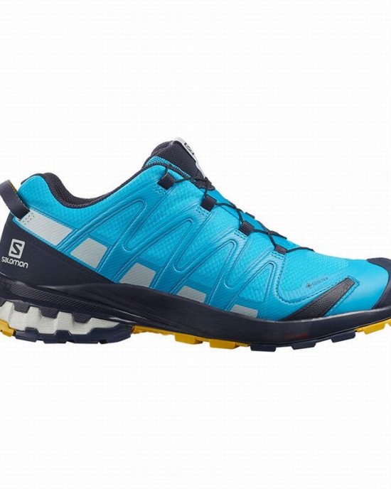 Salomon Xa Pro 3D V8 Gore-Tex Trail Running Shoes Blue Men