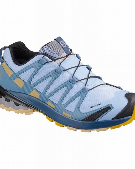 Salomon Xa Pro 3D V8 Gore-Tex Hiking Shoes Blue Women